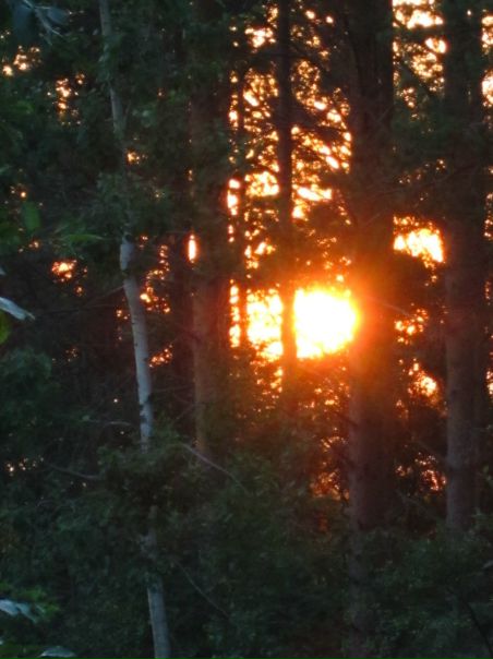 №10, Лена Таллонен, Санкт-Петербург №10, Лена Таллонен, Санкт-Петербург