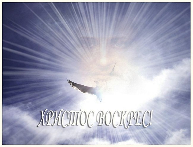 Lesya Dz | Одесса