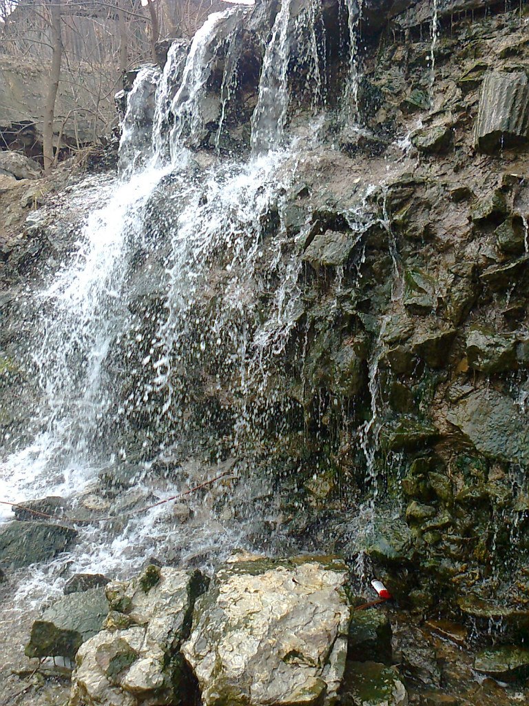 Ирина Лебедь | Днепр (Днепропетровск)