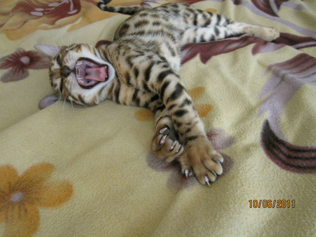 Анка Рыжая | Санкт-Петербург