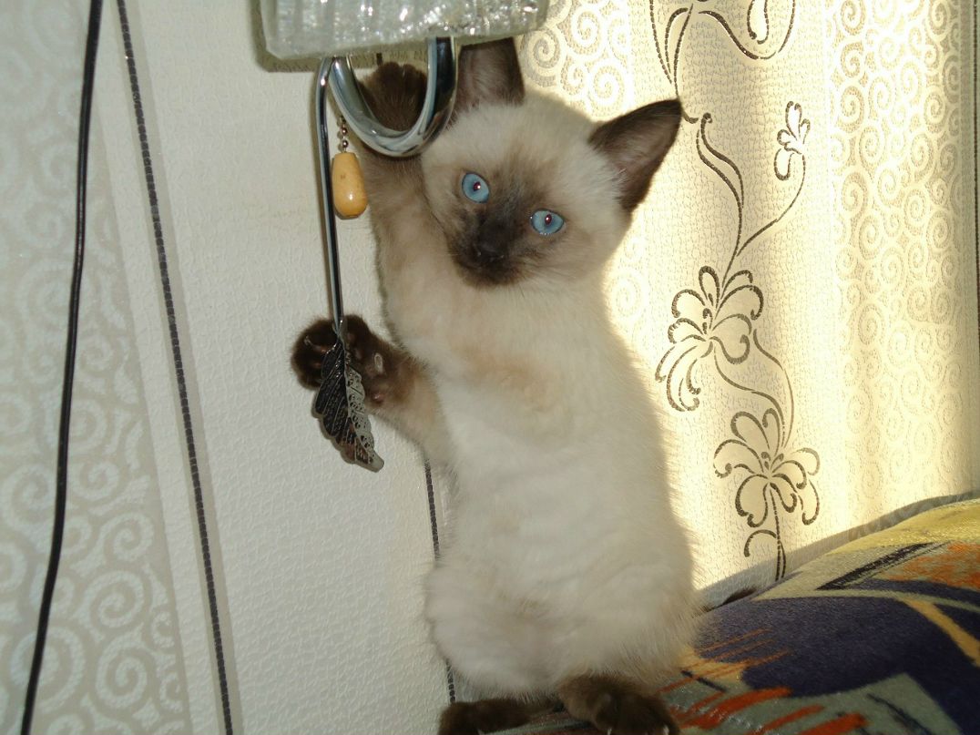 Егор Новиков | Губаха