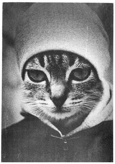 Вика Трунова | Москва