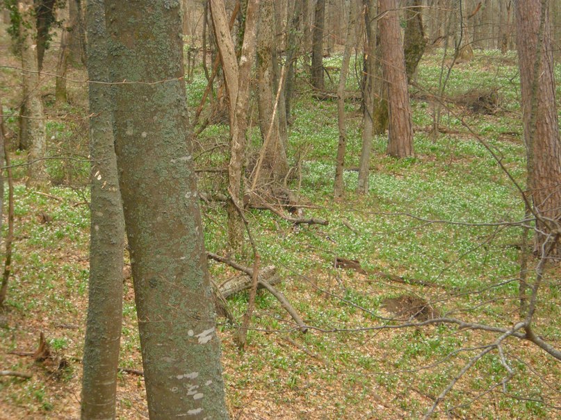 Роман Дашко __ÑøøÃ__ | Ялта