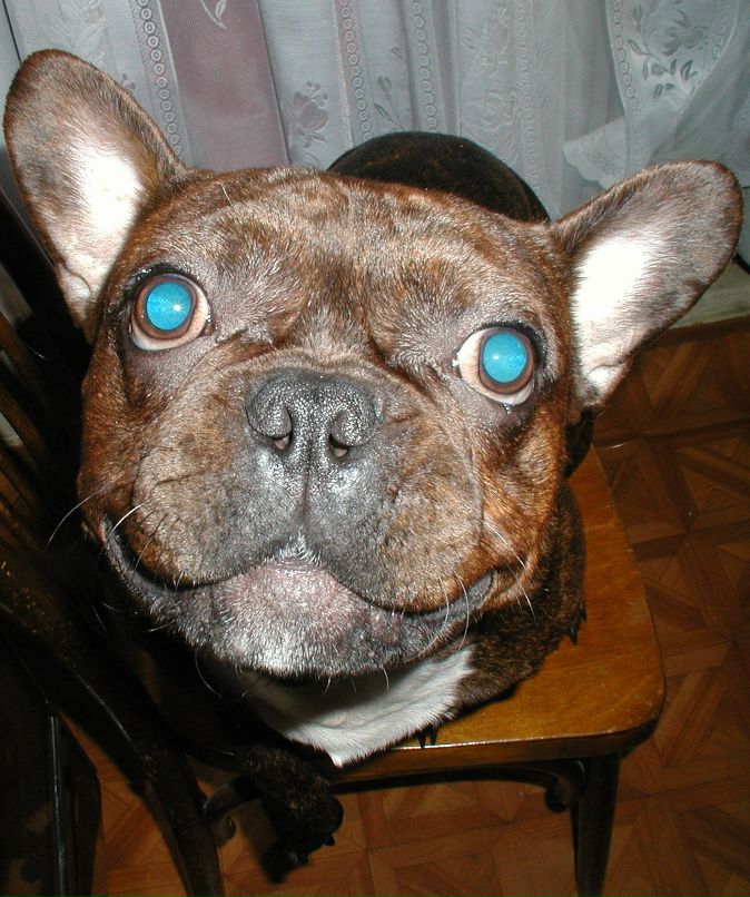 Игорь Романов | Ярославль