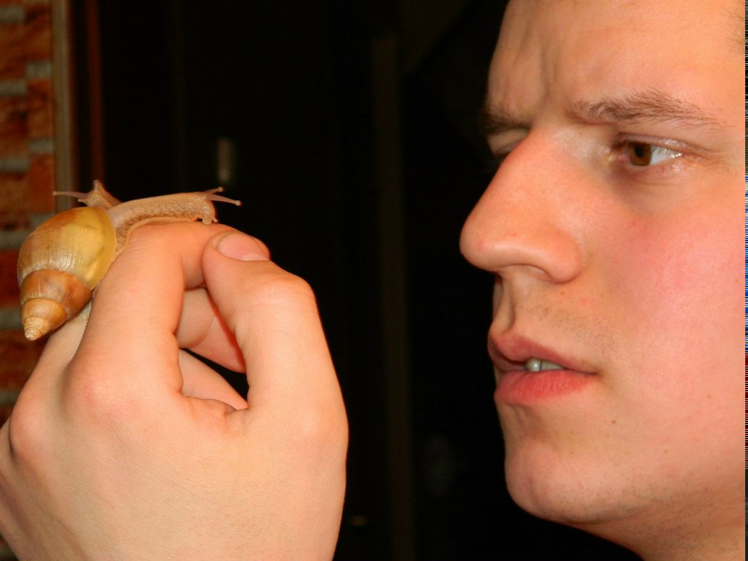 Катерина Борчанинова | 