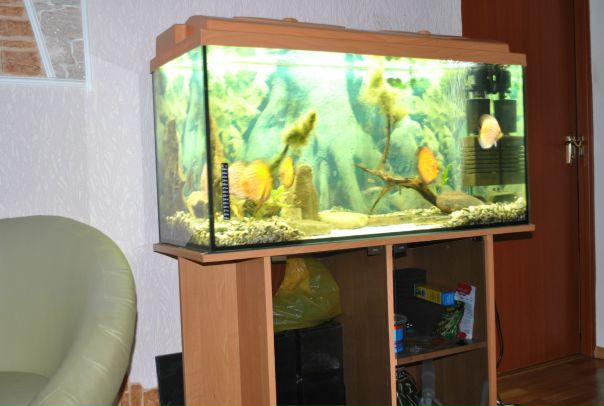 №136, Ольга Грузд, 40 лет, Симферополь №136, Ольга Грузд, 40 лет, Симферополь