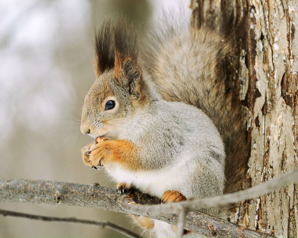 Александр Баринов | Новочебоксарск