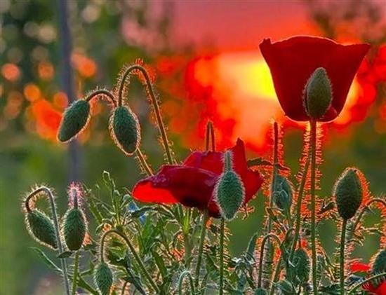 Марина Калинина | Санкт-Петербург