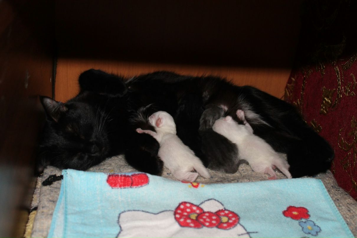 Екатерина Крефенштейн | Челябинск