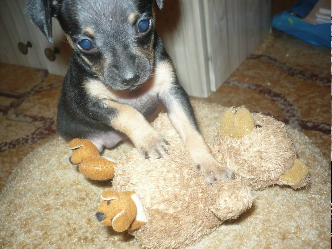 Аида Усманова | Казань