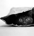 Ирина Долгова фотография #39