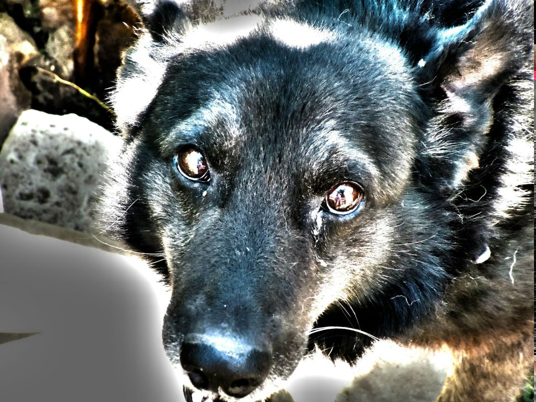 Илья Калинин | Запорожье