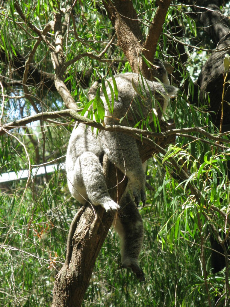 Олжик Аманбаев | Алматы