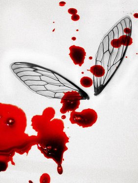 Даша Веркеева | 