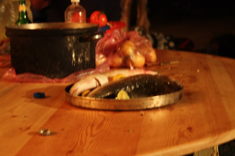 Алёна Дмитрук | Санкт-Петербург