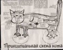 Дарья Корнилова, Torremolinos, Испания, 23.10