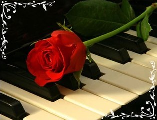 Ольга Михеева | Таллин