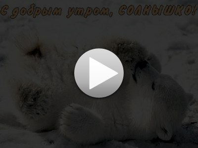 Галина Шикунова | Могилёв