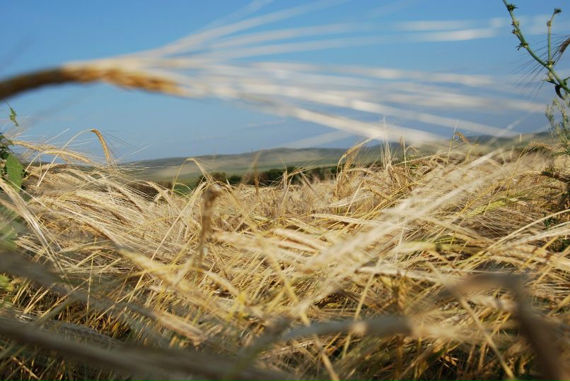 Таисия Бардасова | Орск