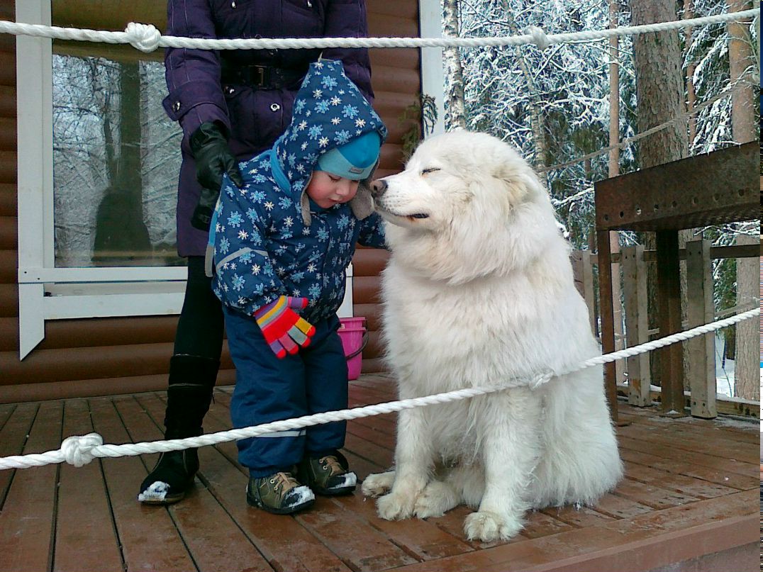 Елена Григорьева | Санкт-Петербург