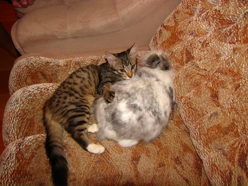 №1, Яна Еличкина, 28 лет, Санкт-Петербург №1, Яна Еличкина, 28 лет, Санкт-Петербург