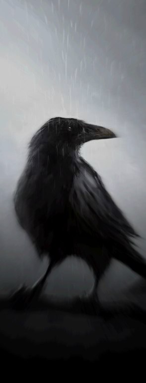 Никита Конюков | 