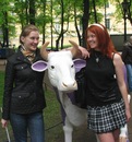 №12 Елена Гарбуз