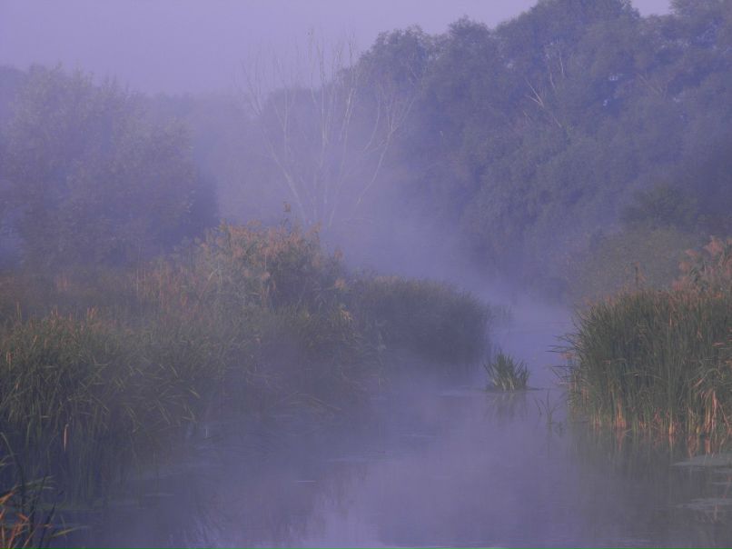 Владимир Пушкин | Потоки
