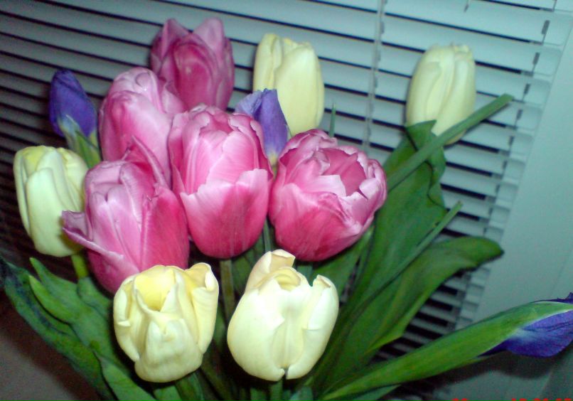 Юлия Андриевская | Полтава