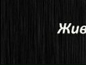 Анна Майстренко | Санкт-Петербург