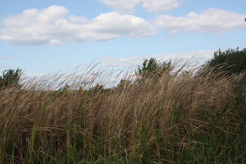 Маргарита Иванова | Москва