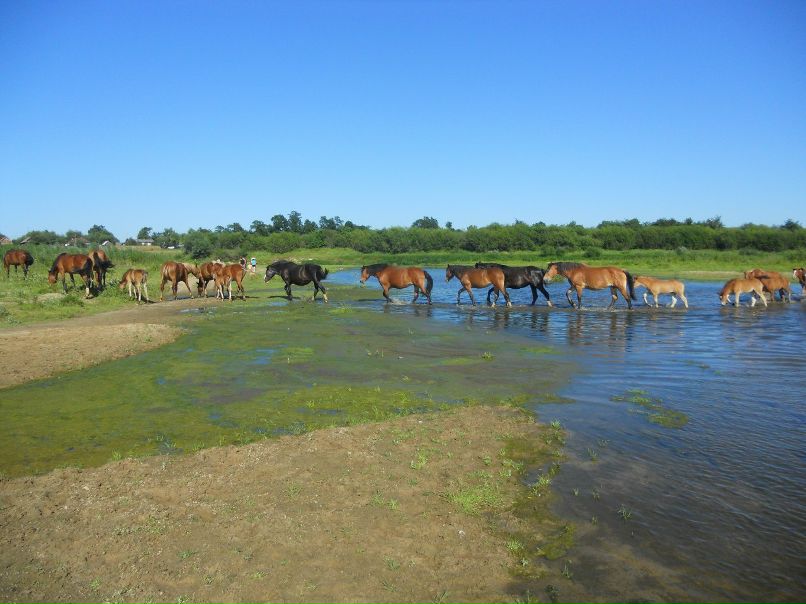 Ирина Кузнецова | Москва