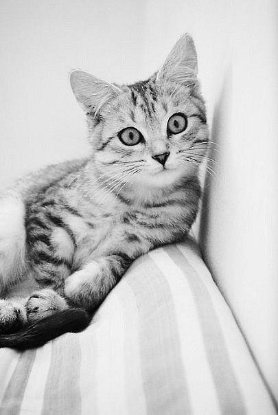 Марина Кузнецова | Тернополь