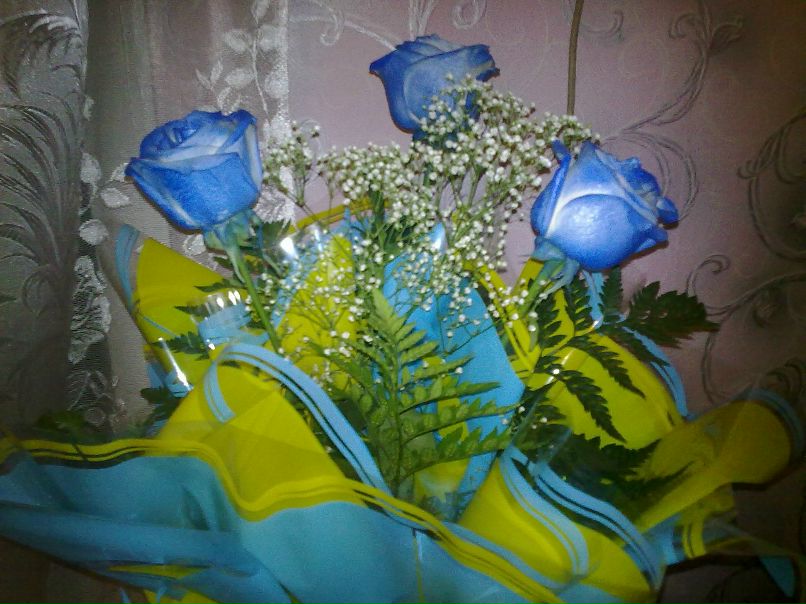 Оксана Гордиенко | Большое Козино