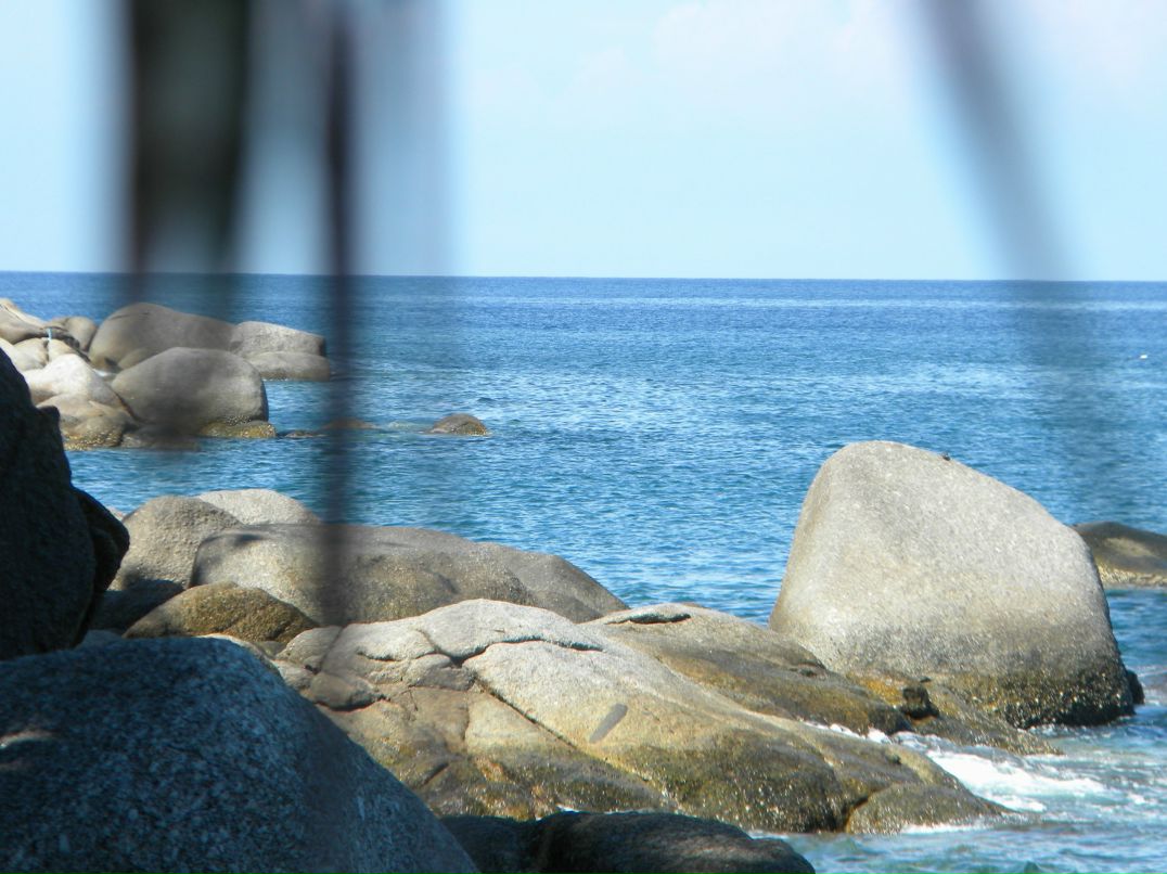 Марина Чиганаева | Ульяновск