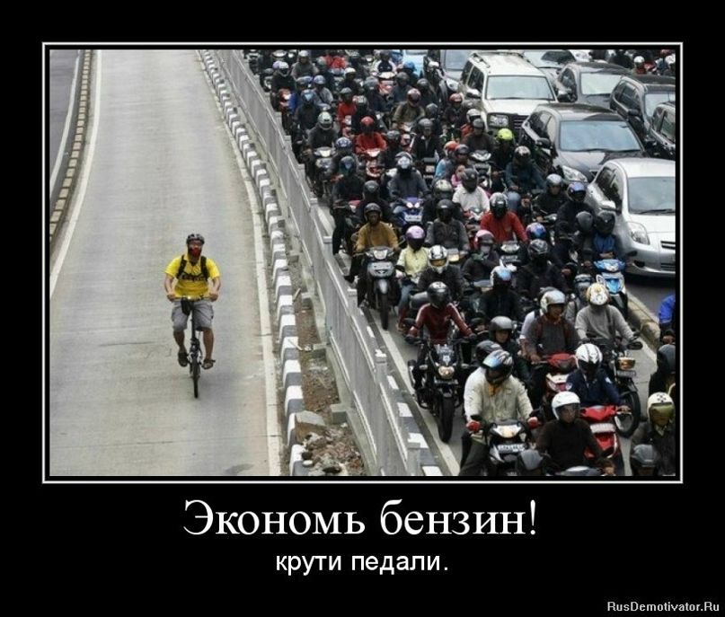 Царь Всеяруси Николай | Санкт-Петербург