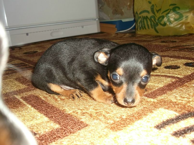 Лена Ηиколаева | Санкт-Петербург