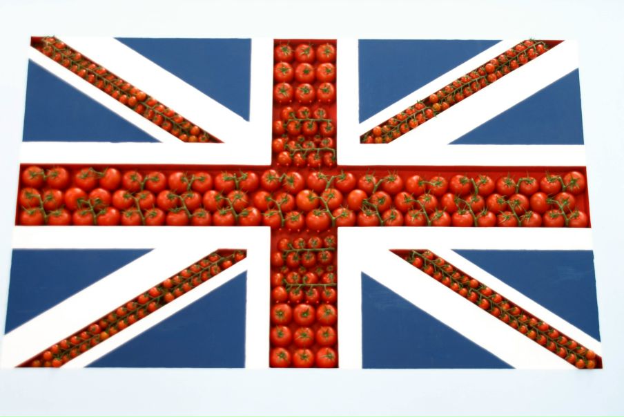 №39, Елена Новоселова, Norwich №39, Елена Новоселова, Norwich