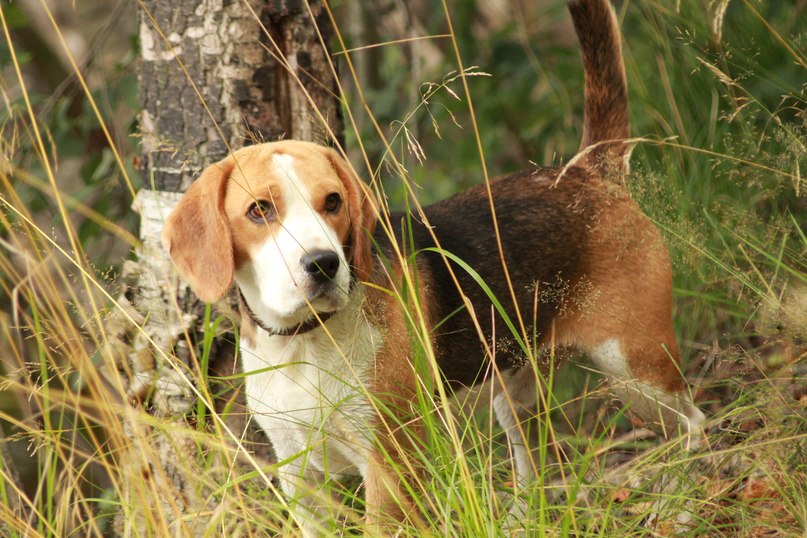 Яна Суркова | Санкт-Петербург