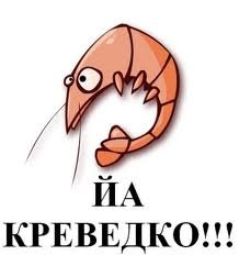 Юлия Чёрная | Łódź