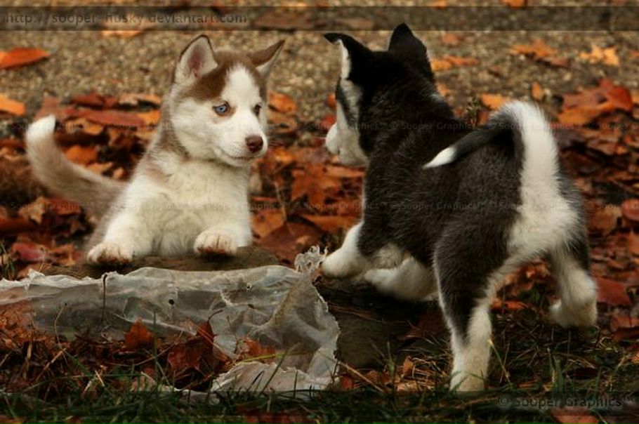 №116, Антон Воробьев, Москва №116, Антон Воробьев, Москва