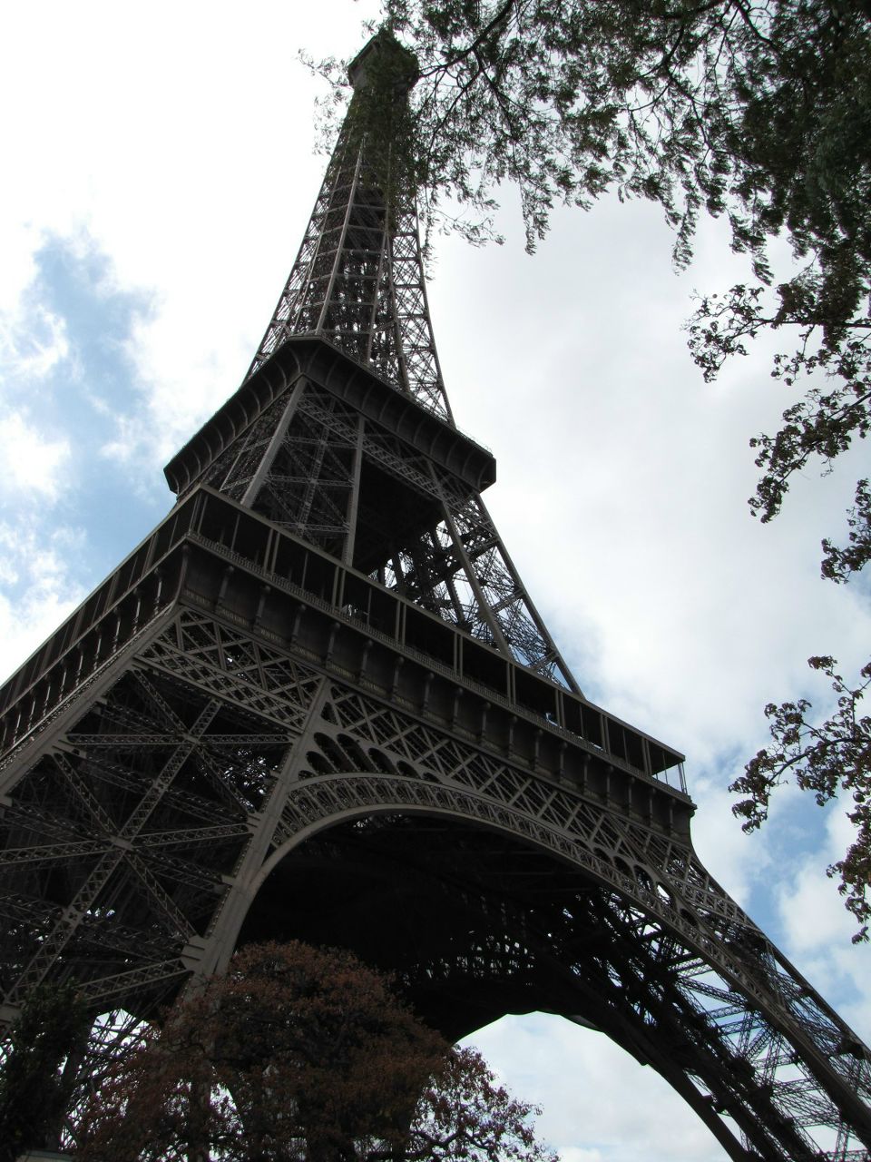 Светлана Новикова | Санкт-Петербург