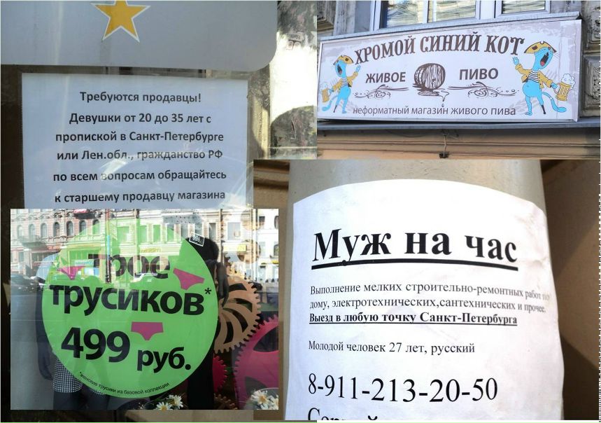 №81, Саша Сашин, Череповец №81, Саша Сашин, Череповец