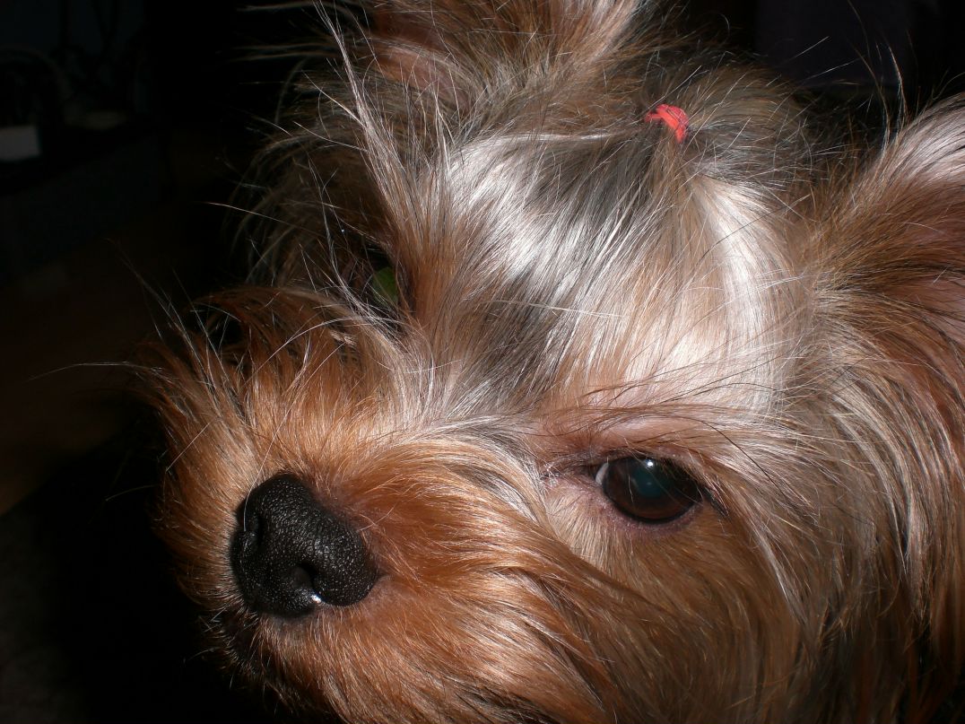 Наташа Маркоза | Кривой Рог