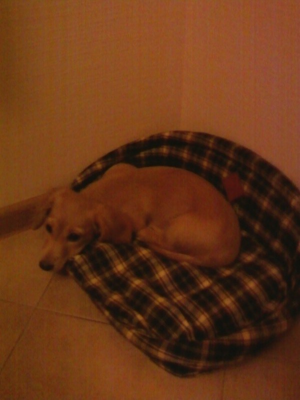 Марина Степанова (Крякова) | Москва