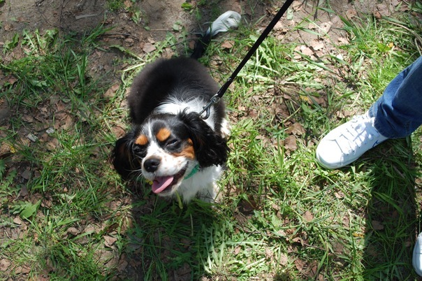 №2, Екатерина Гусарова, 39 лет, Москва №2, Екатерина Гусарова, 39 лет, Москва