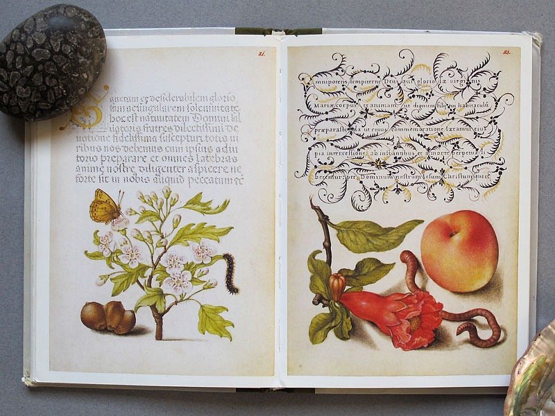 Тина Романова | Одесса