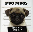 №33 Lola Abisheva 07.01.1988: профиль, фото, статус - ВКонтакте