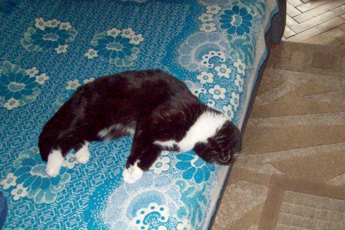 Самуил Шурухт | Санкт-Петербург