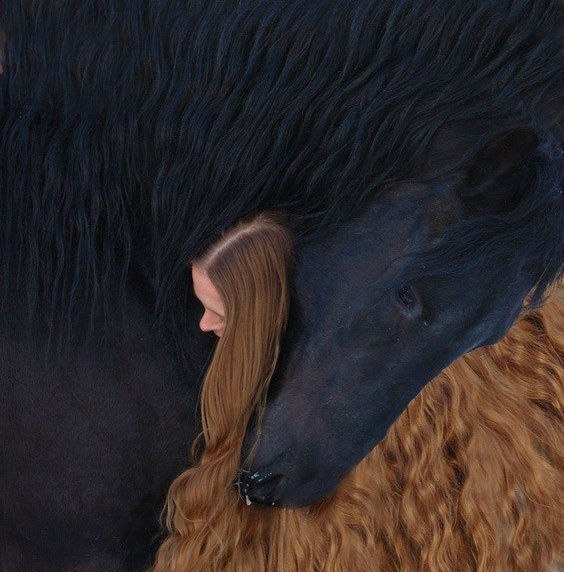 Натали Файдун | Киев